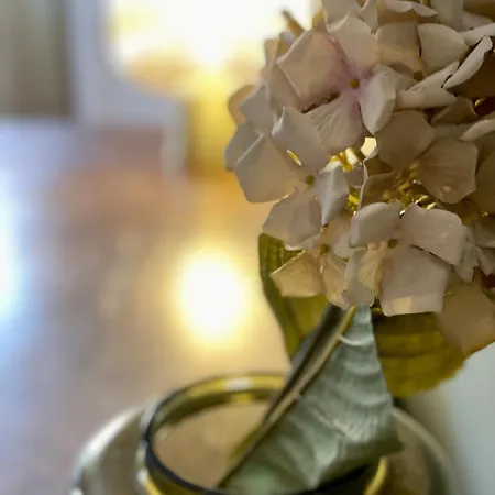 Zentrum Vor Der Tuer Appartement